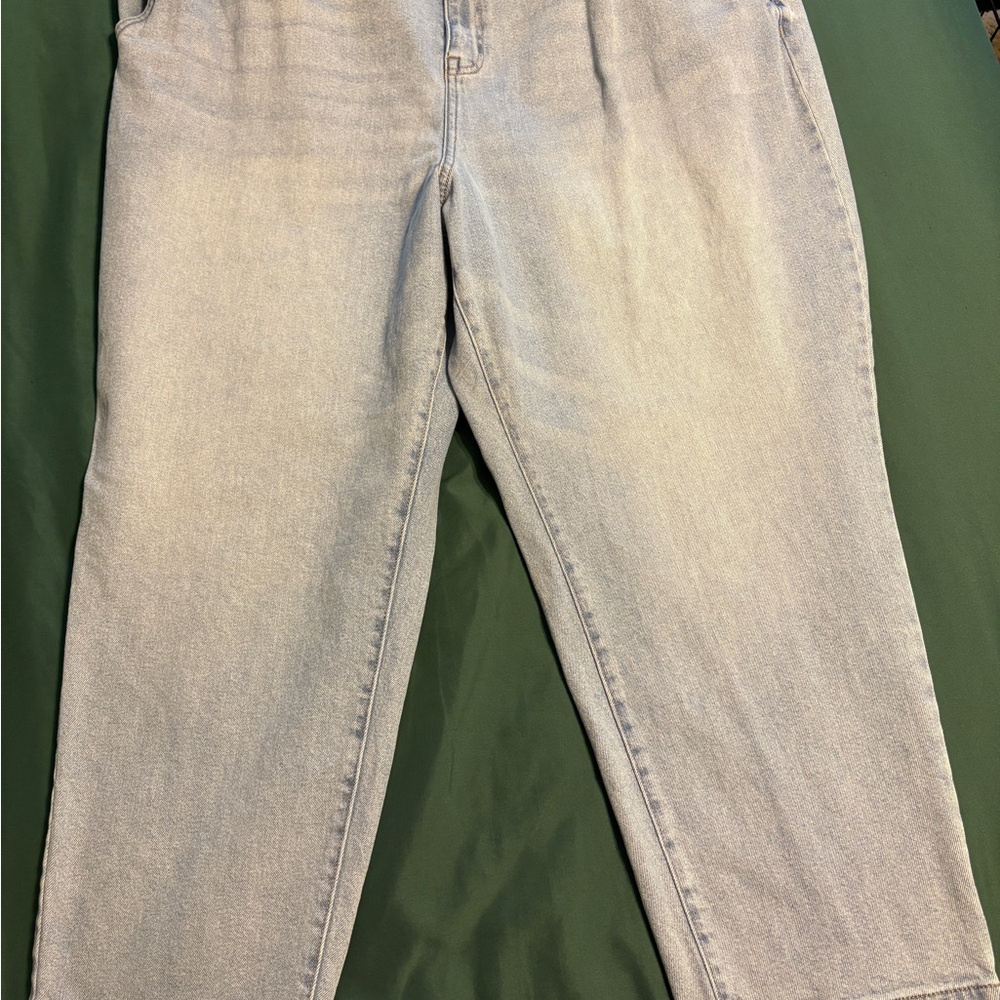 Lane Bryant Light Wash High Waist Mom Jeans